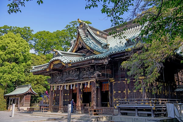 水平線から昇る初日の出&三嶋大社初詣バスツアー
~富士の麓で初湯も~2